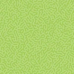 24 Bamboo