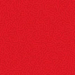 28 Poppy
