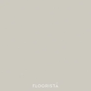 พื้นไวนิลลายหินขัด กระเบื้องยางลายหินขัด สีเทา FT-P8606 Terrazzo