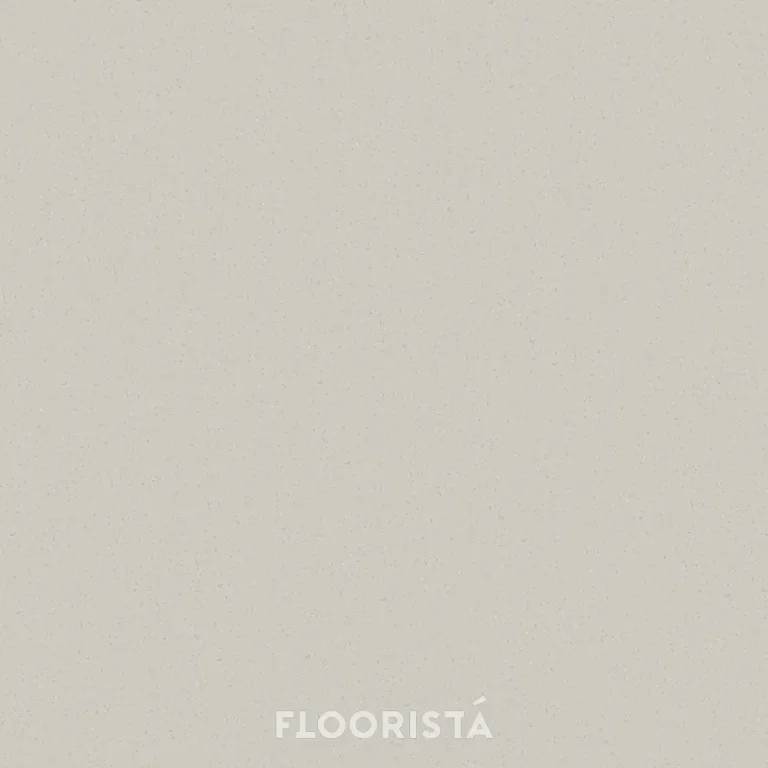 พื้นไวนิลลายหินขัด กระเบื้องยางลายหินขัด สีเทา FT-R8606 Terrazzo
