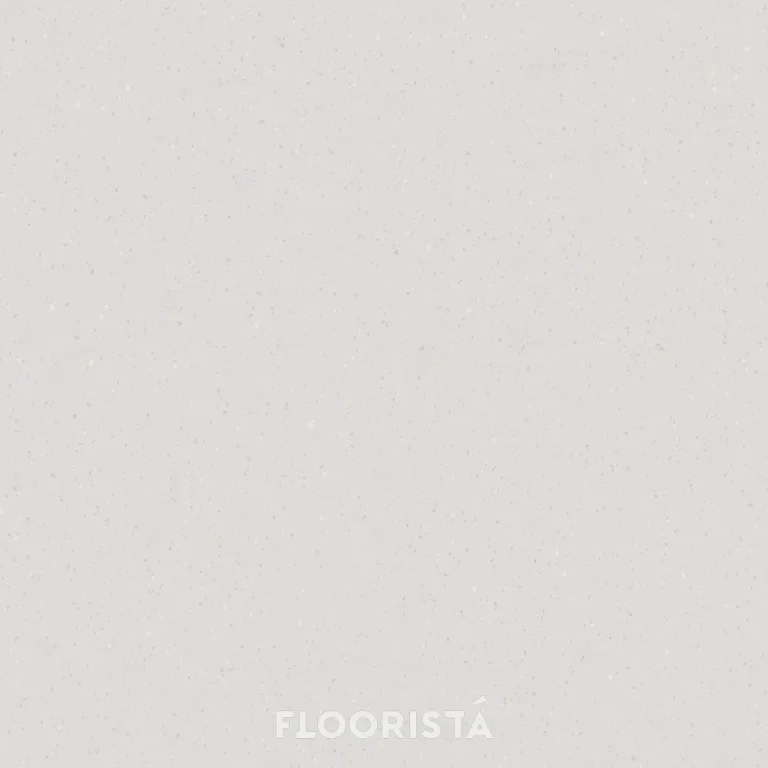 พื้นไวนิลลายหินขัด กระเบื้องยางลายหินขัด สีเทา FT-R8610 Terrazzo