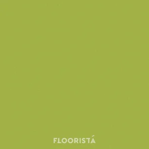 พื้นไวนิลลายหินขัด กระเบื้องยางลายหินขัด สีเขียว FT-P8617 Terrazzo
