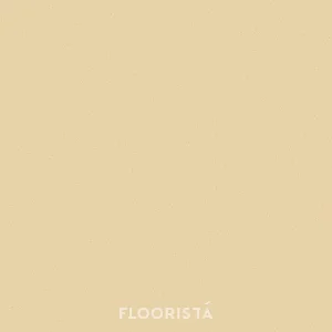 พื้นไวนิลลายหินขัด กระเบื้องยางลายหินขัด สีส้ม FT-P8655 Terrazzo